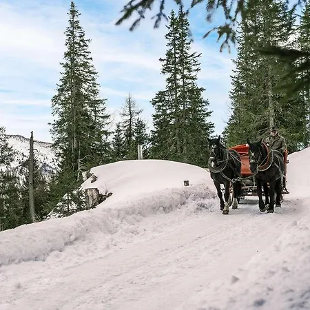 Falkensteiner Premium Edel:weiss Hotel